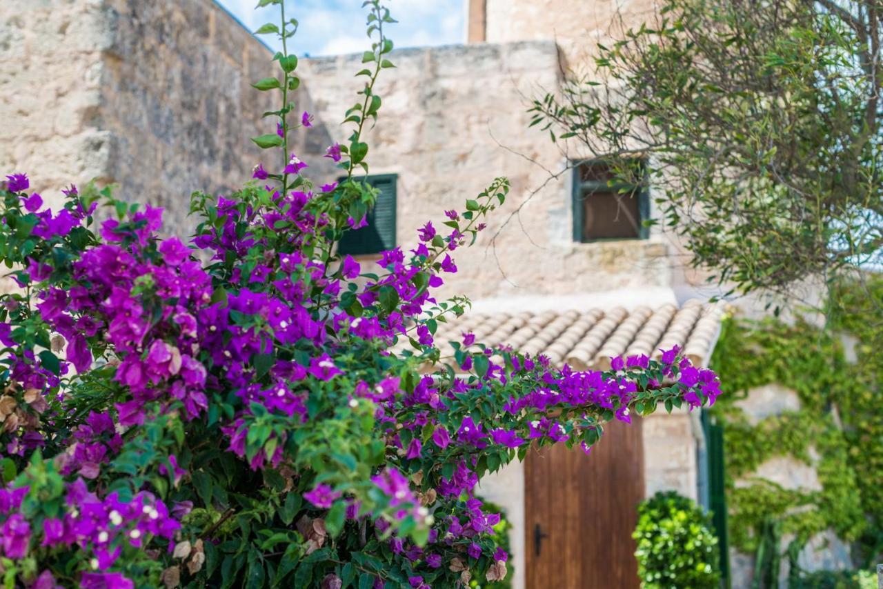 Villa Es Moli - Son Femenia Santa Margalida Exteriér fotografie
